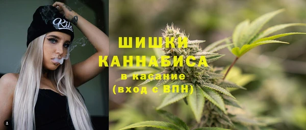 молекула духа Горнозаводск