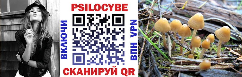 Галлюциногенные грибы Magic Shrooms продажа наркотиков Избербаш